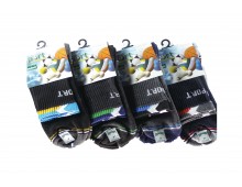 Sport Socks-Colour Line